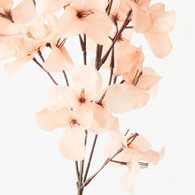 Load image into Gallery viewer, Bougainvillea Spray - Blush