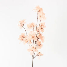 Load image into Gallery viewer, Bougainvillea Spray - Blush