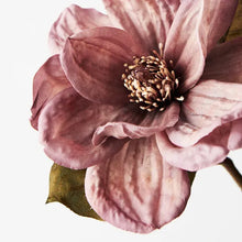 Load image into Gallery viewer, Magnolia Dusty Mauve
