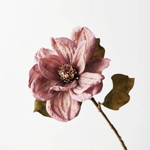 Load image into Gallery viewer, Magnolia Dusty Mauve