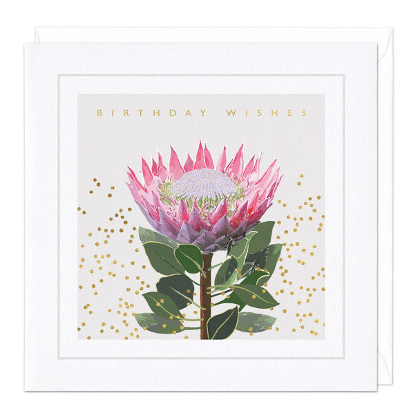 Card - Protea Birthday Wishes
