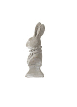 Load image into Gallery viewer, Mr Rabbit in Suit
