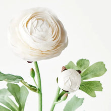 Load image into Gallery viewer, Ranunculus Spray - Winter White
