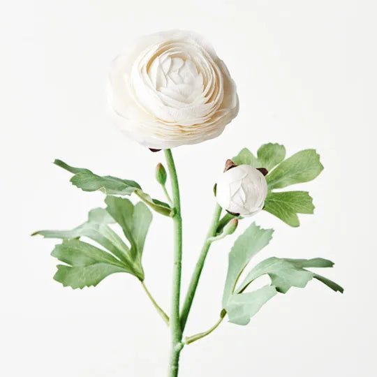 Ranunculus Spray - Winter White