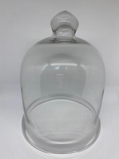 Glass Cloche Med